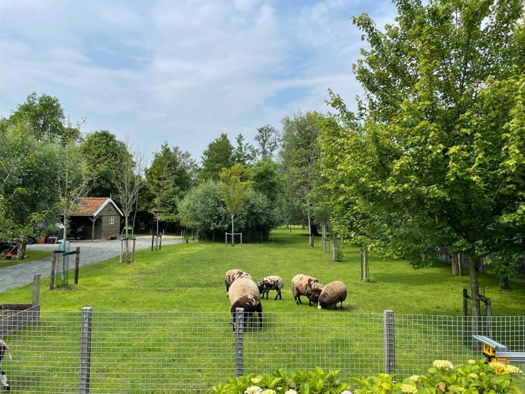 Flora'S B&B Landsmeer Exteriör bild