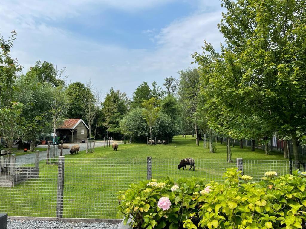 Flora'S B&B Landsmeer Exteriör bild